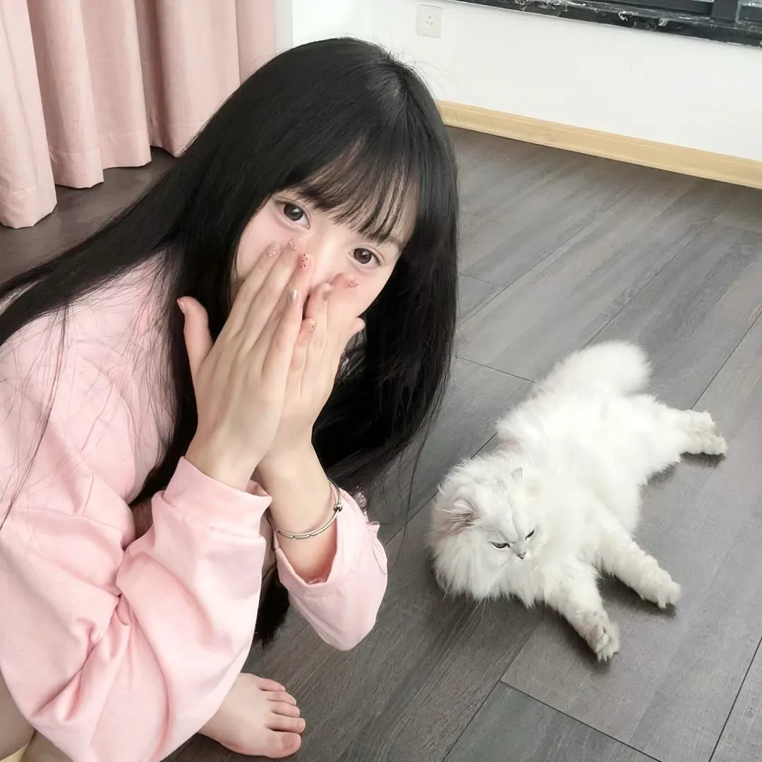 双重生后沈小姐拒不复合